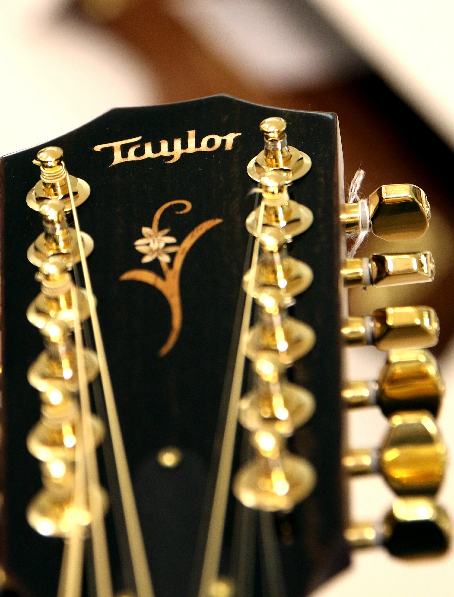 גיטרות Taylor
